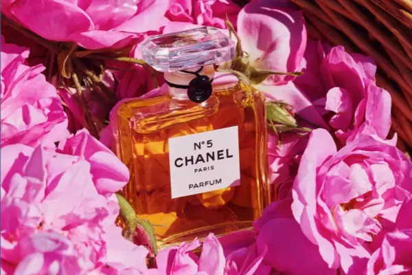 Bulharská ruža – tajná ingrediencia vôní Chanel a Dior