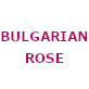 Bulgarian Rose Karlovo